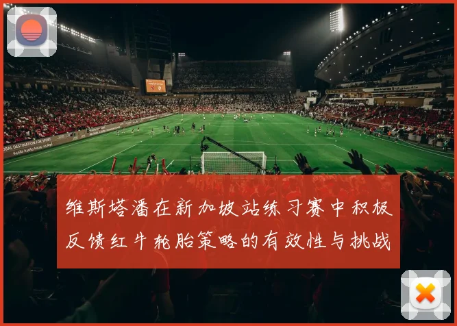 维斯塔潘在新加坡站练习赛中积极反馈红牛轮胎策略的有效性与挑战